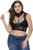 Black Hollow-out Lace Choker Plus Size Crop Top